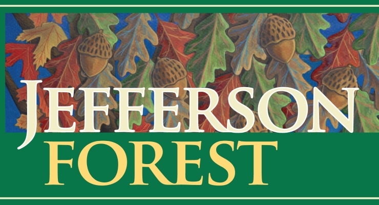 Project Spotlight: Jefferson Forest in Richmond Hill