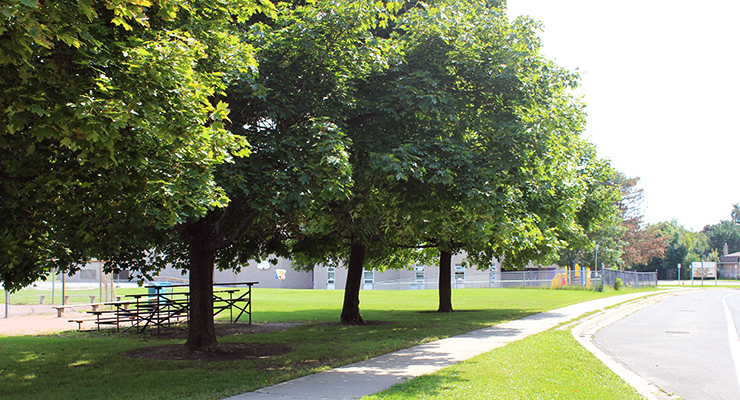 City of Markham Aims to Redouble Tree-Planting Efforts in 2015