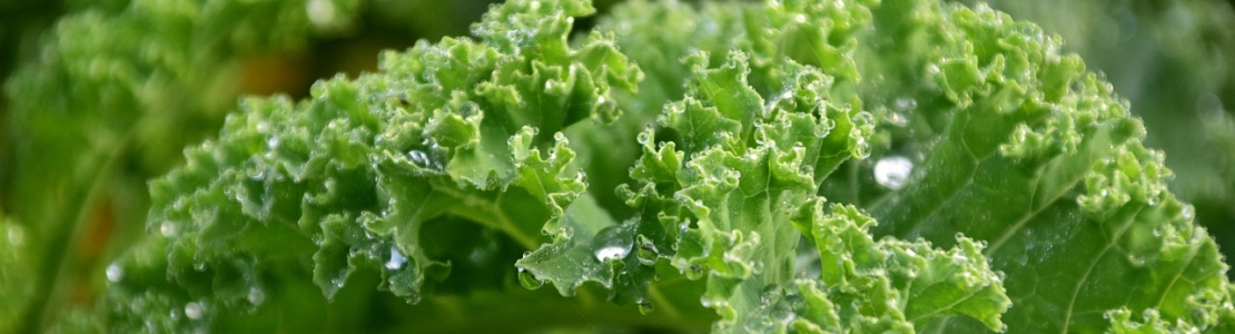 Leafy vegetables